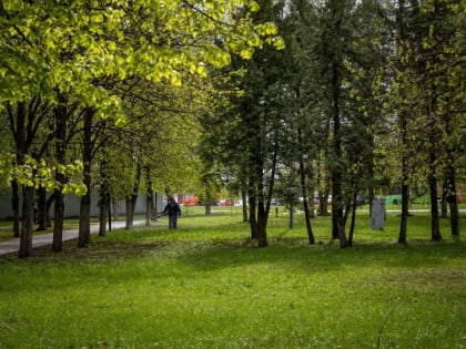 В Курске на выходных в парках и скверах проведут акарицидную обработку