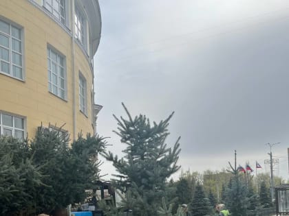 15 елей из «Красного леса» высадили в областном центре.