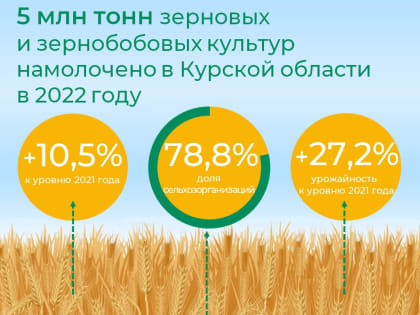 Курские аграрии в 2022 году намолотили 4970,3 тыс. тонн зерновых и зернобобовых культур