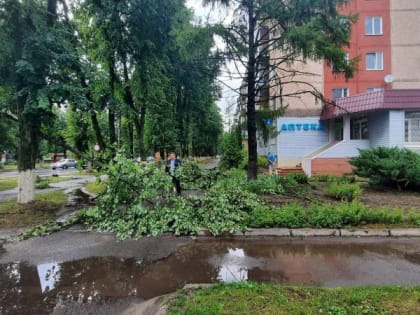 В Железногорске Курской области прошел ураган