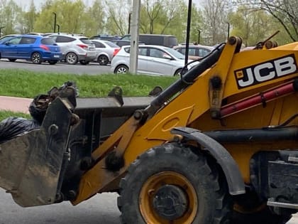 Коллектив Курской АЭС на субботнике: потрудились на славу!