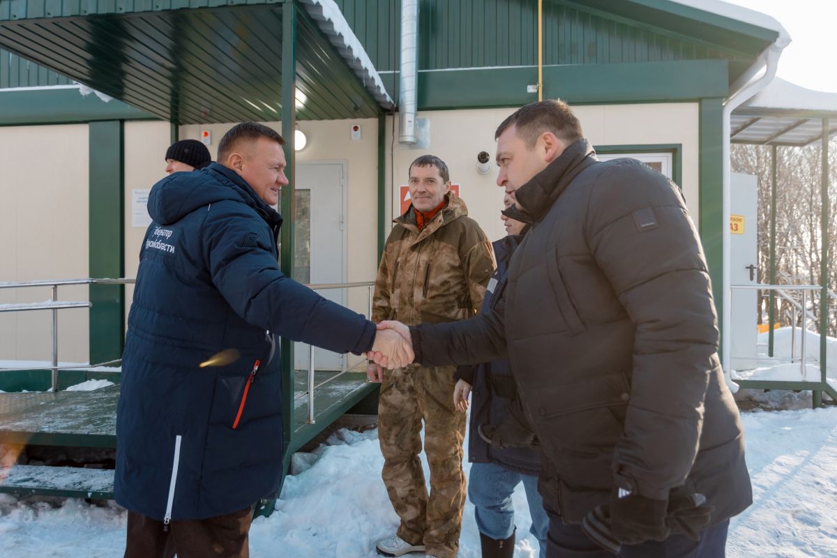 Курская 17 железногорск