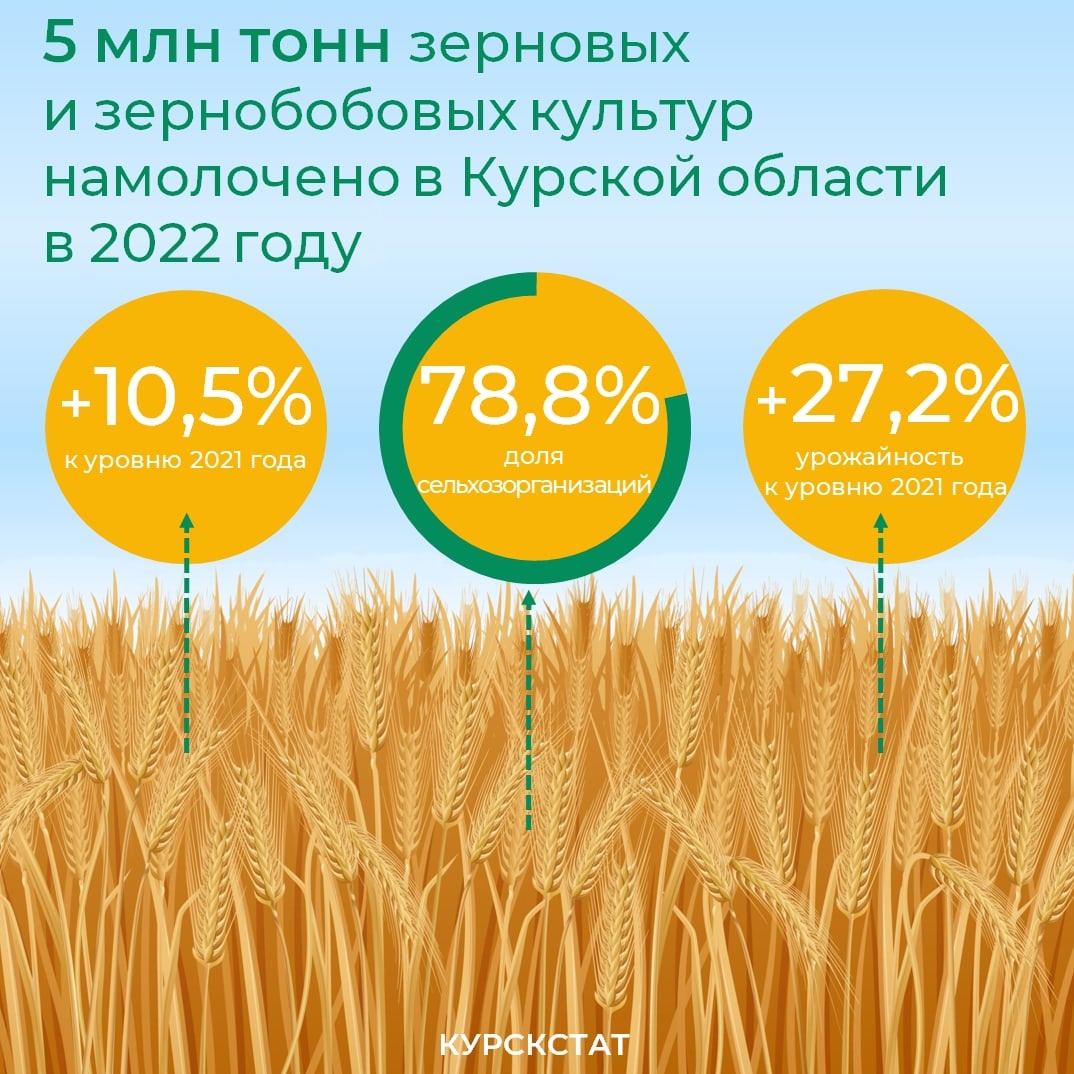 1 тонна зерна. Урожай зерновых в Волгоградской области в 2022 году. 3 Тысячи тонн пшеницы.