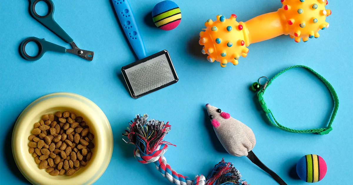 Accessoires pour chats et chiens sur fond bleu, concept de soins et d'entraînement des animaux