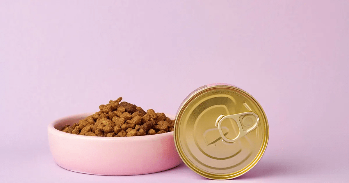 Comparaison entre croquettes et patee pour chatons