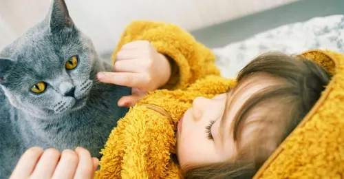 Enseigner un chaton à bien se comporter avec les enfants grâce à des techniques douces et efficaces pour une cohabitation harmonieuse.