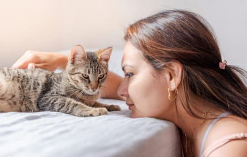Une femme embrasse tendrement son chaton : adopter un chat et créer un lien affectueux
