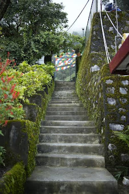 O9 stay The Perfect Hideout - Hotel in Hathipaon Road, Mussoorie 18
