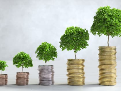 Новые инициативы по улучшению городской инфраструктуры