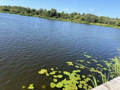 Прогноз погоды в Вербилках на 28 августа
