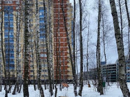 В лесопарке «Городской лес» обустраивают пешеходные тропы для четвероногих друзей