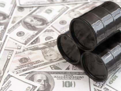 Минфин США подверг санкциям перевозившие российскую нефть танкеры