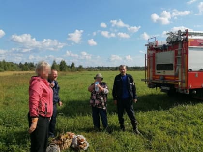 Спасение в лесу: женщины из Орехово-Зуево потерялись во время сбора грибов