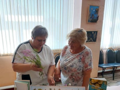 Зеленая аптека у дома