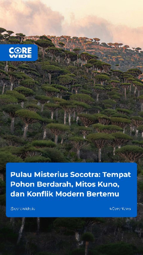 Pulau Misterius Socotra: Tempat Pohon Berdarah, Mitos Kuno, dan Konflik Modern Bertemu