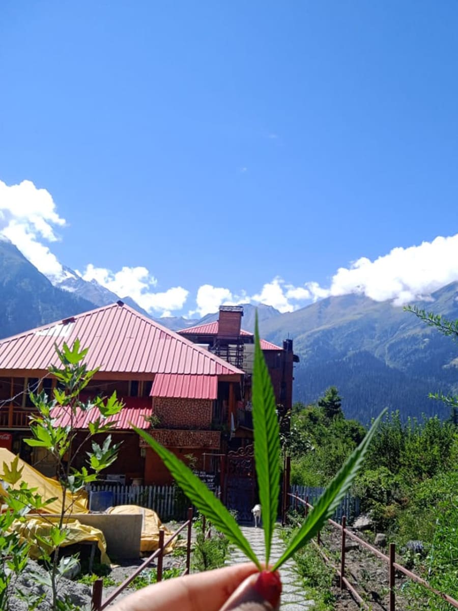 The Last Resort - Nature and comfort combined