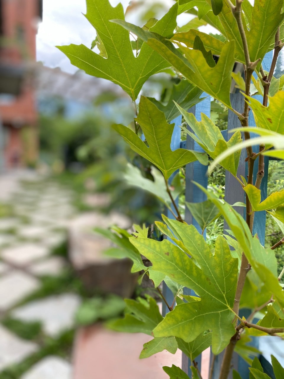 The Last Resort - Resort exterior view