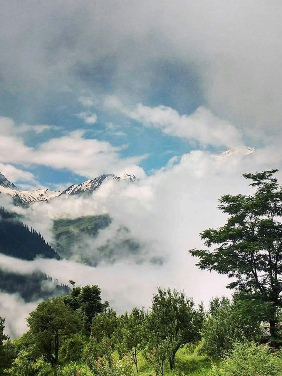 The Last Resort - Himalayan peaks backdrop