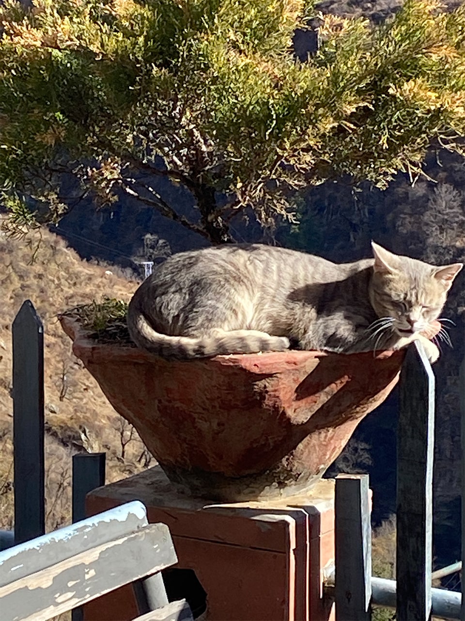 The Last Resort - Luxurious accommodations