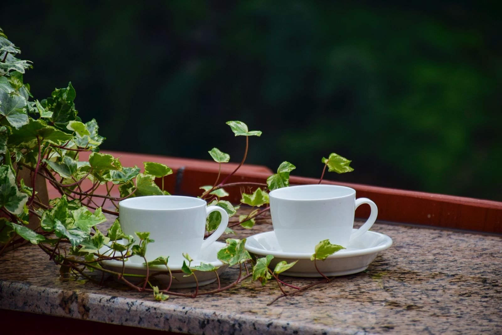 The Last Resort - Beautiful resort moments