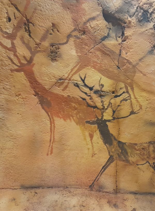 desen peșteră tematica Arteus