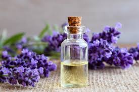 Lavender Oil for Aromatherapy, Cosmetics and Wholesale Supply