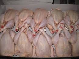 Frozen Whole Chicken for Wholesale and Export Supply