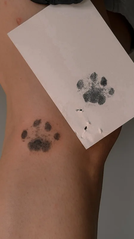 cat paw print tattoo