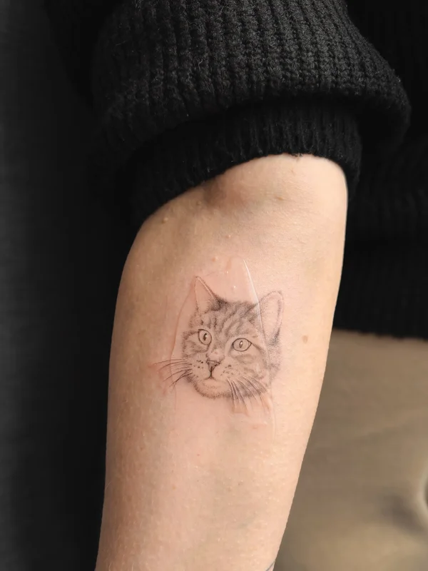 Cat portrait tattoo