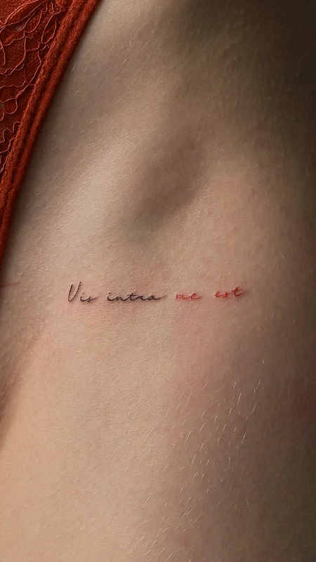 tattoo inscription vis intra me est