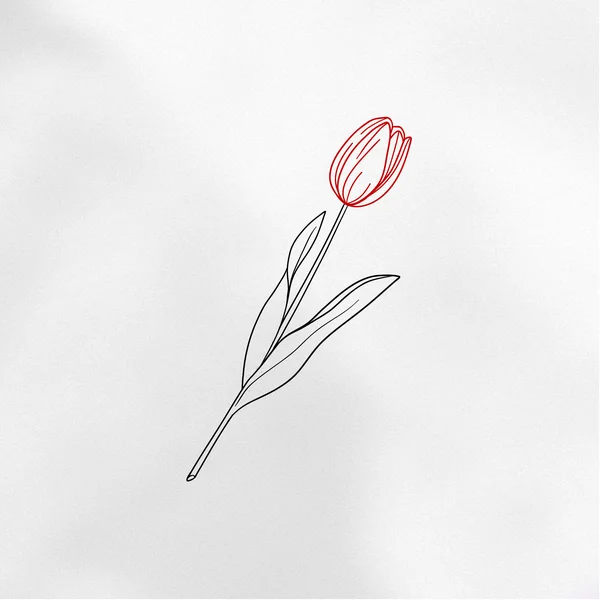 mini tattoo sketch Tulip flower