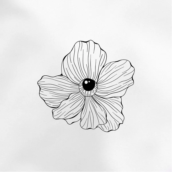 daffodil flower with eye tattoo sketch