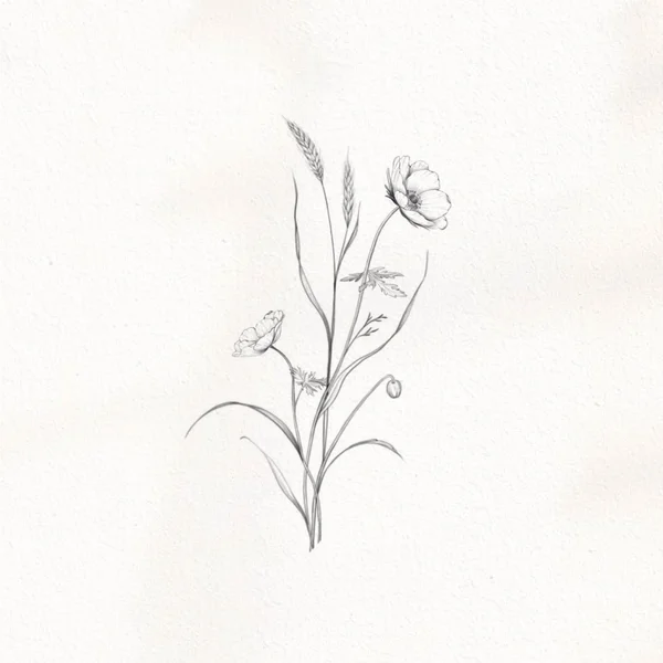 sketch of anemones and ears of corn tattoo