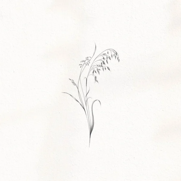 sketch of a tattoo with field grasses