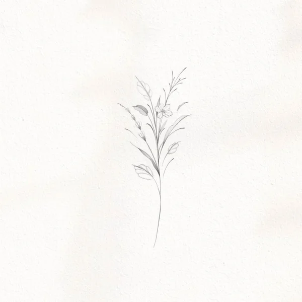 tattoo sketch of a branch with flax flowers