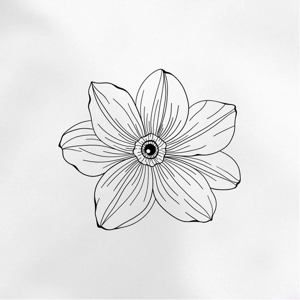 flower with eye tattoo sketch