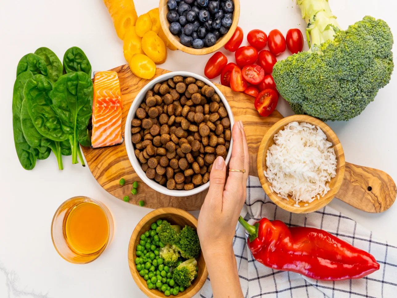 Un bol de croquettes équilibré contient des protéines, des fibres, des fruits et des légumes