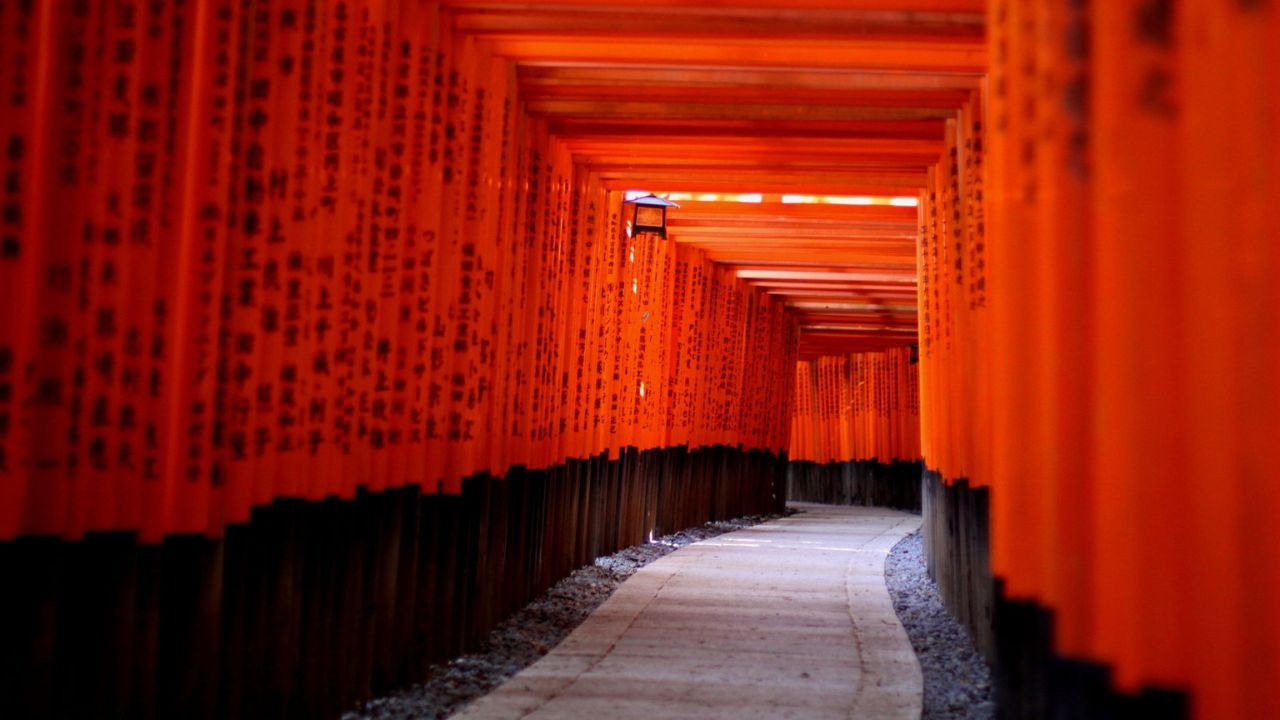 Free and Easy: Luxury Kansai Travel | Dynasty