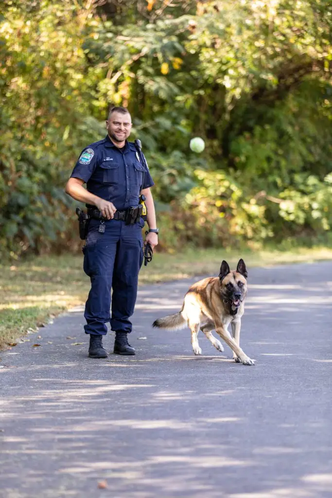 Breeds of Dogs Used for Police Work