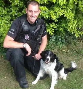 Breeds of Dogs Used for Police Work