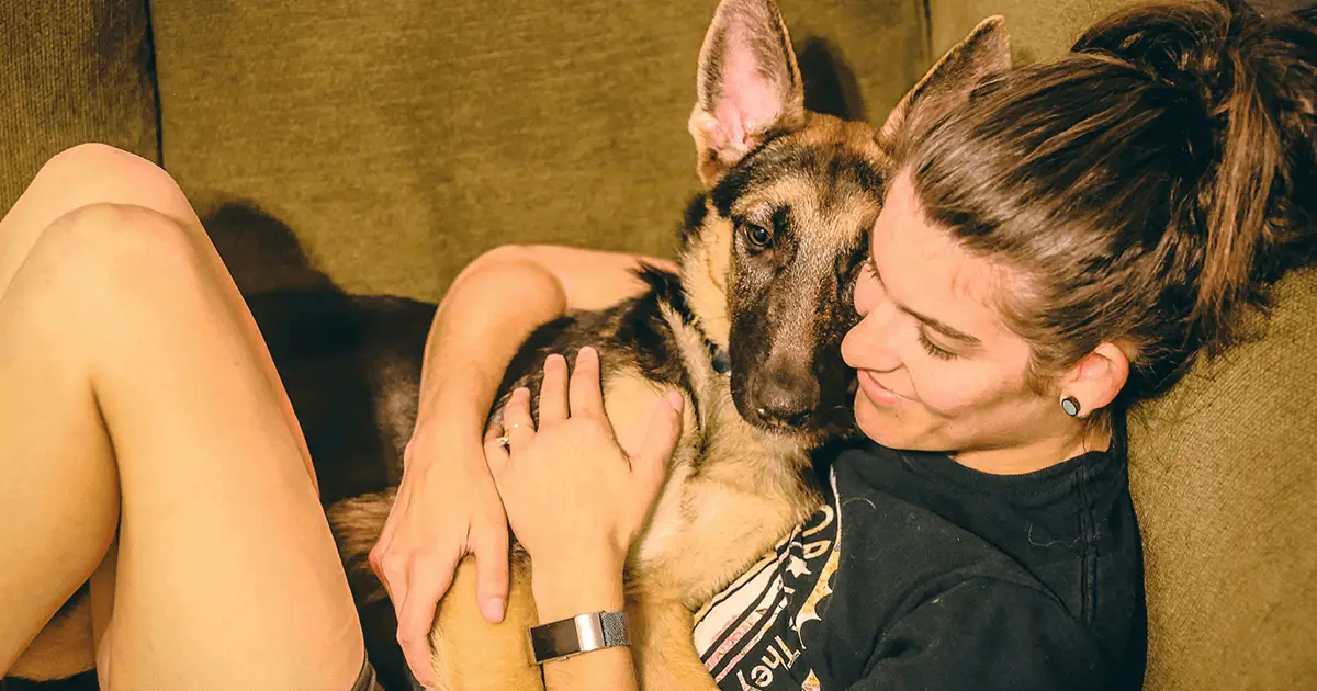 Best Breed for Anxiety Service Dog
