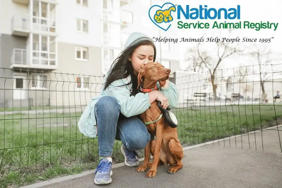 Small Service Dog Breeds for Anxiety