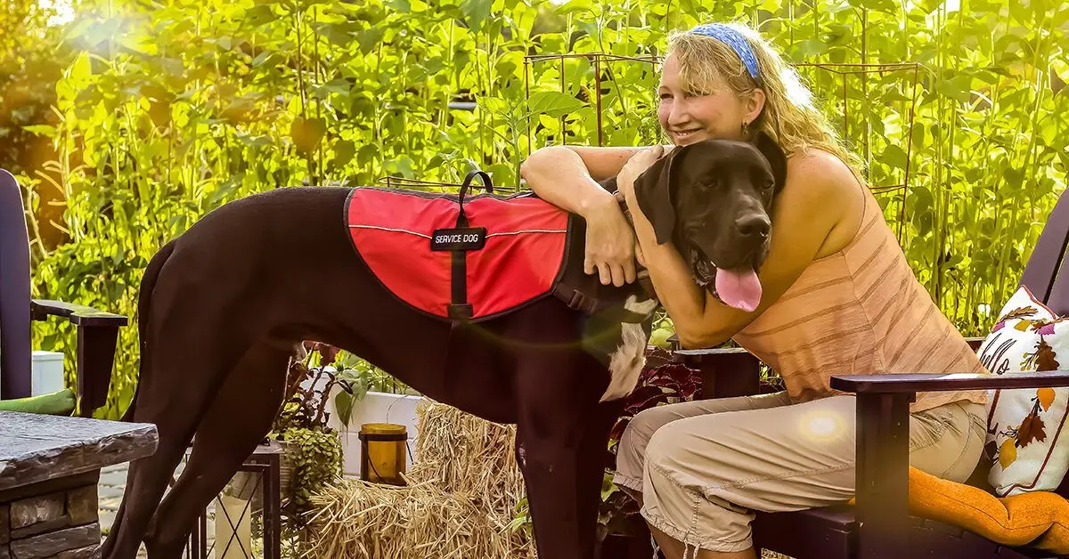 Small Service Dog Breeds for Anxiety