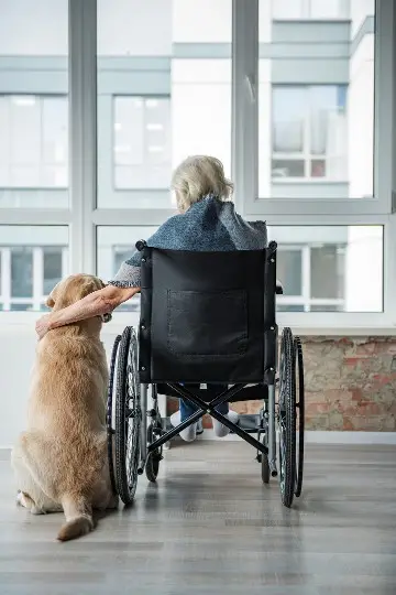 Small Service Dog Breeds for Anxiety
