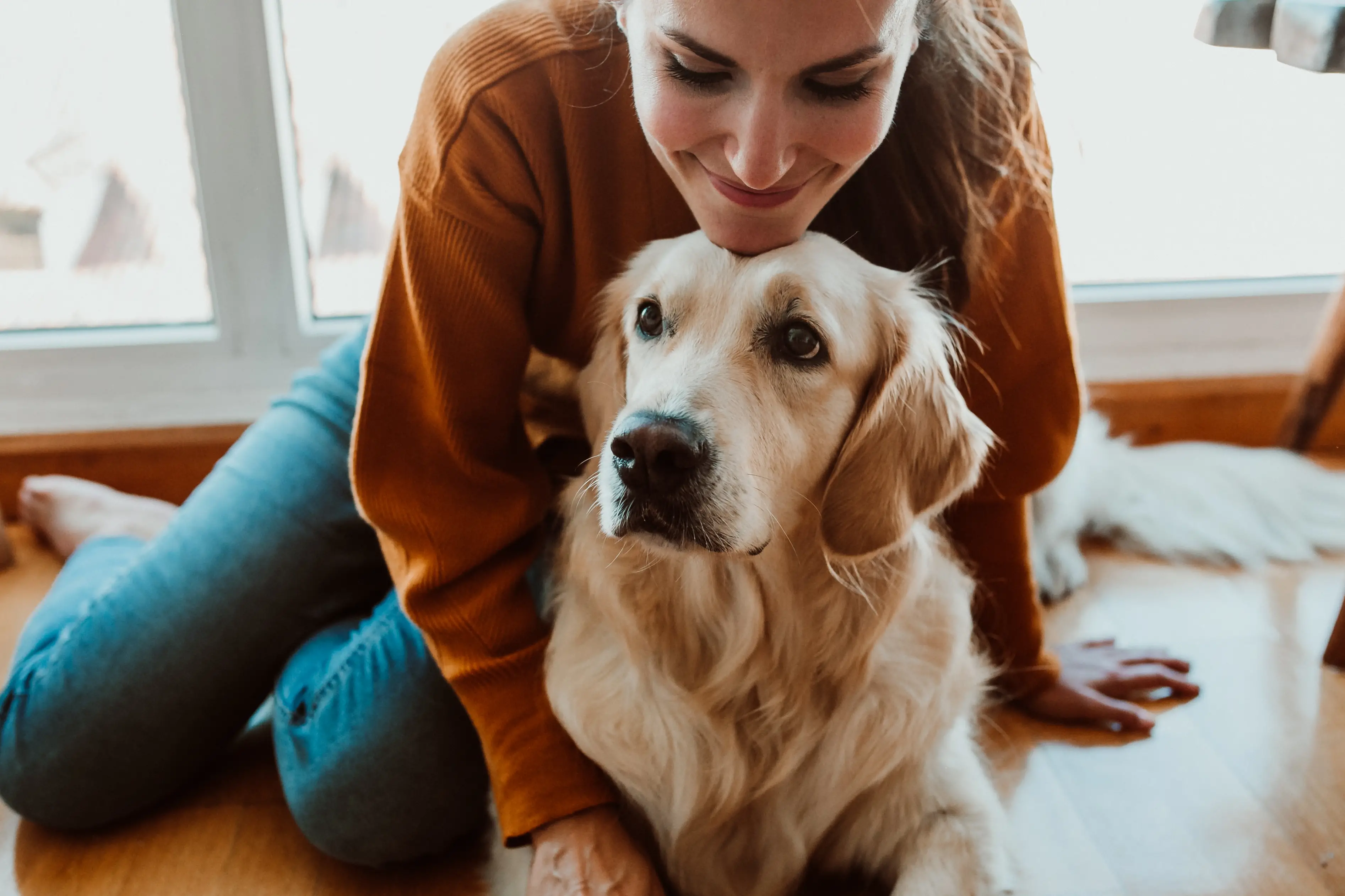 Small Service Dog Breeds for Anxiety