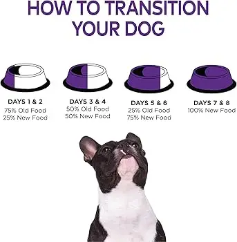 Wellness Small Breed Complete Health Puppy