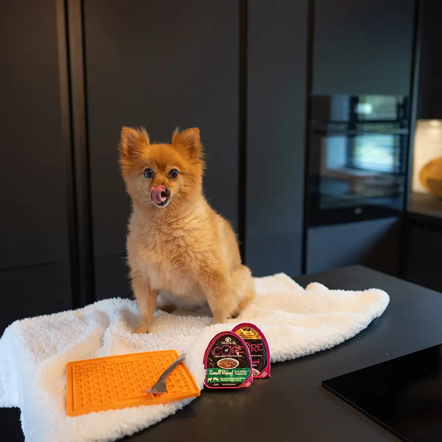 Wellness Small Breed Complete Health Puppy