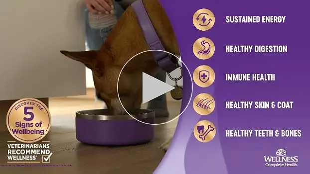 Wellness Small Breed Complete Health Puppy