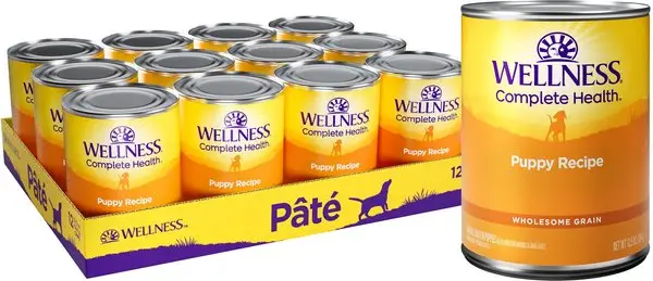 Wellness Small Breed Complete Health Puppy