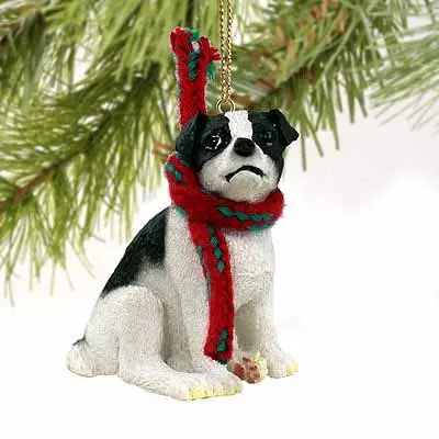 Black White Jack Russell Terrier A Deeper Dive